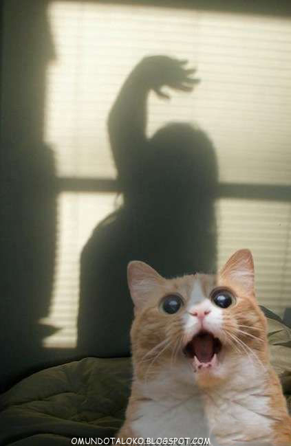 Imagens lokas 3 O mundo Ta Loko