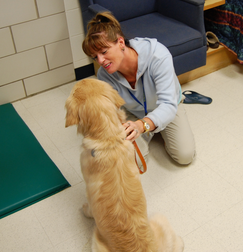 Cycling for Leader Dogs Learning about Leader Dogs for the Blind