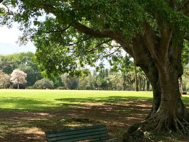 Programação de férias de julho 2019 no Parque Ibirapuera em São Paulo ~ Áreas Verdes das Cidades - Guia de Parques