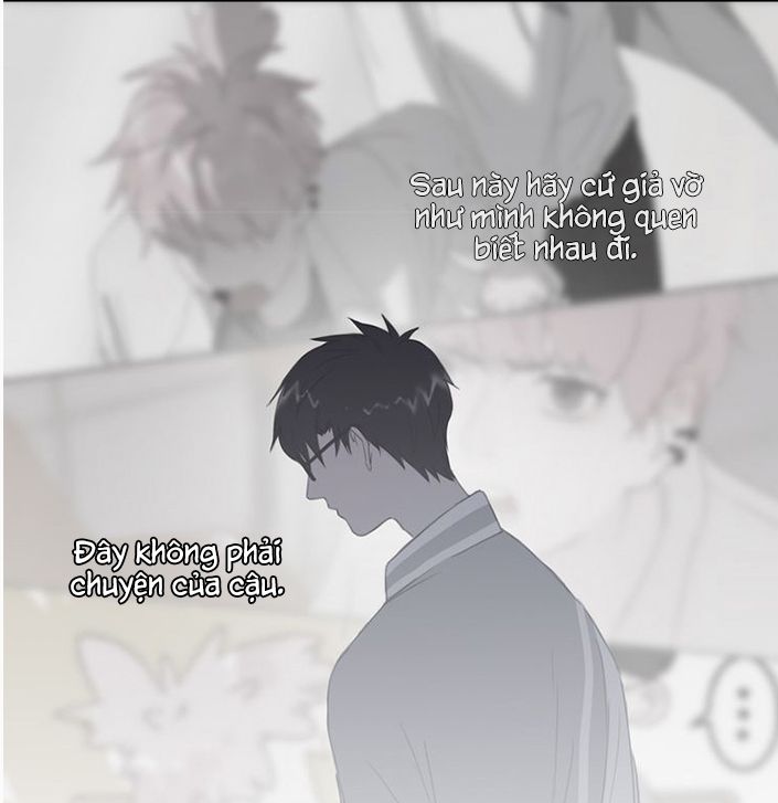 Đọc truyện Thế giới của một chú mèo - Chapter 11