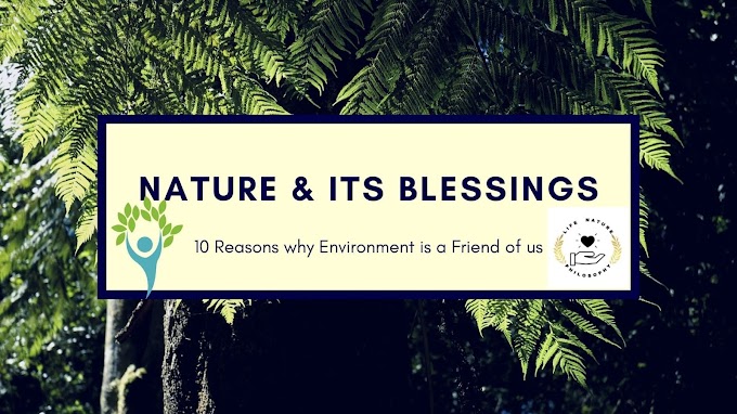 Why care about the Environment | 10 Reasons why Environment is a Friend of us