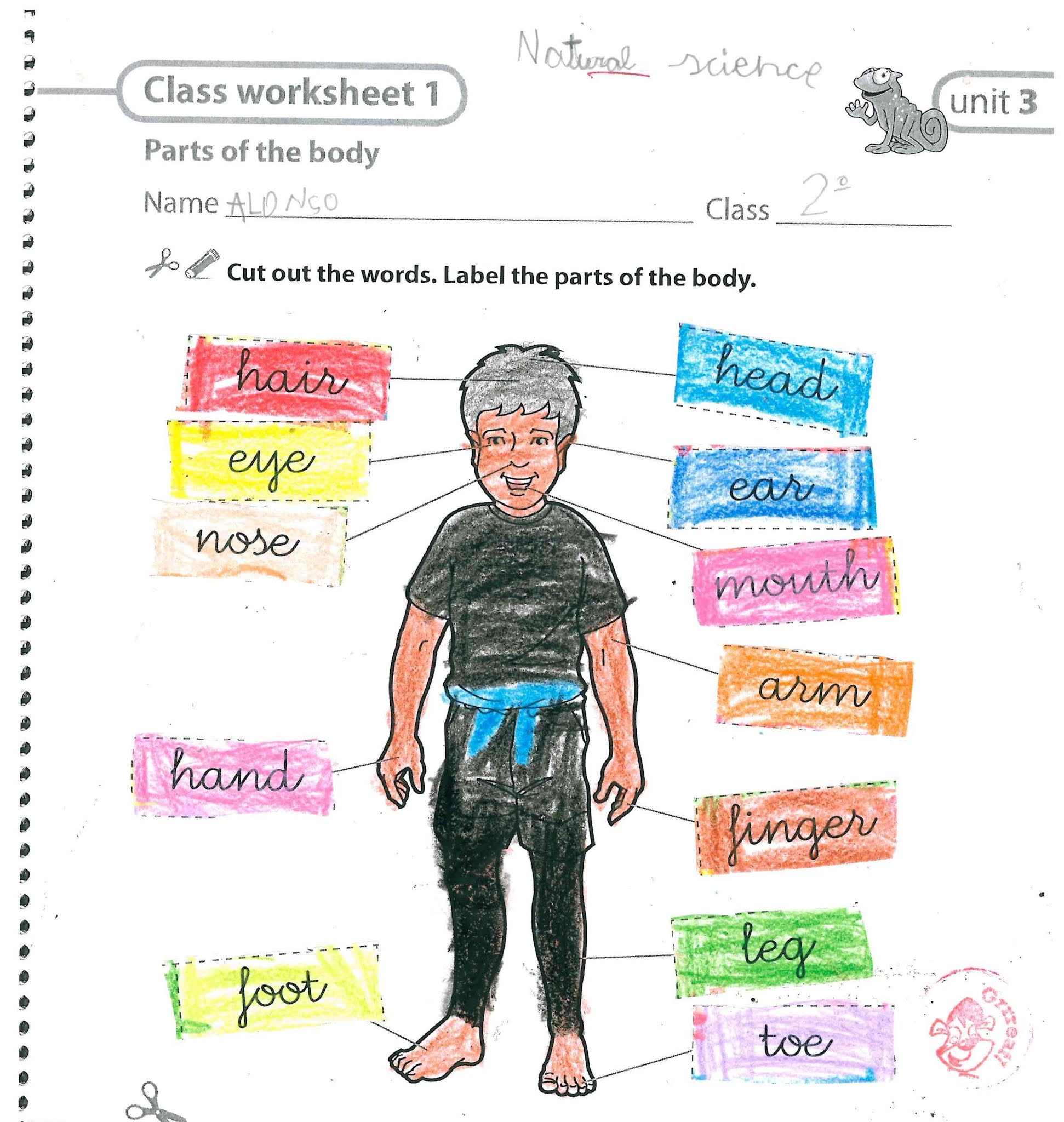 El cuaderno del maestro Body