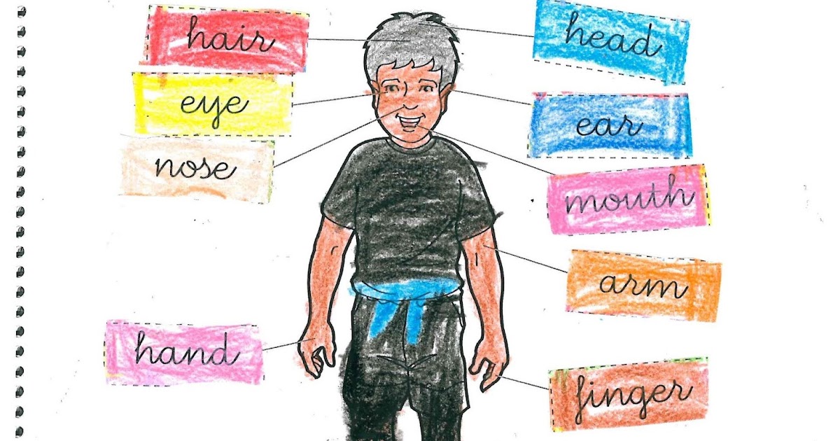 El cuaderno del maestro Body