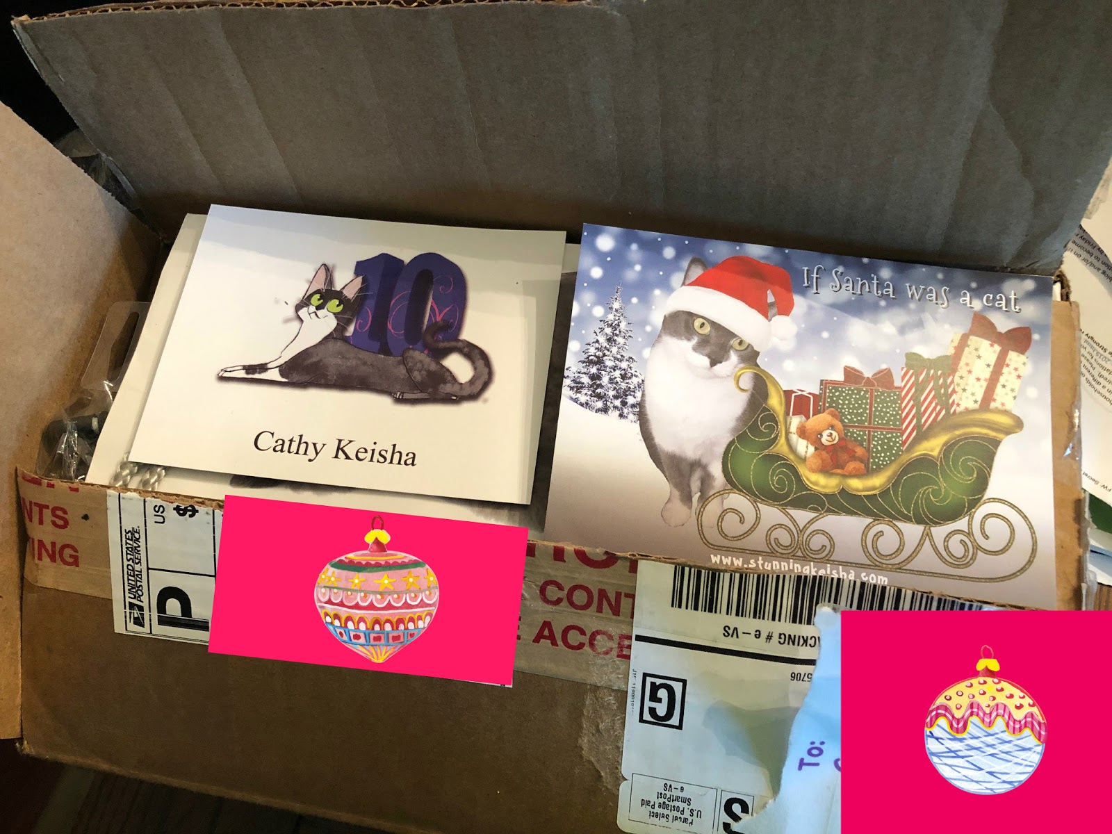 Cat Chat With Caren And Cody Thankful Thursday Unboxing Secret Paws Gifts Boxing Day And National Thank You Note Day