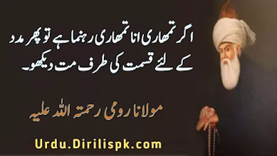 Rumi Quotes in Urdu
