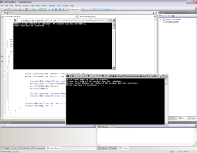 Programmer's Ranch: C# Network Programming: Echo Client/Server