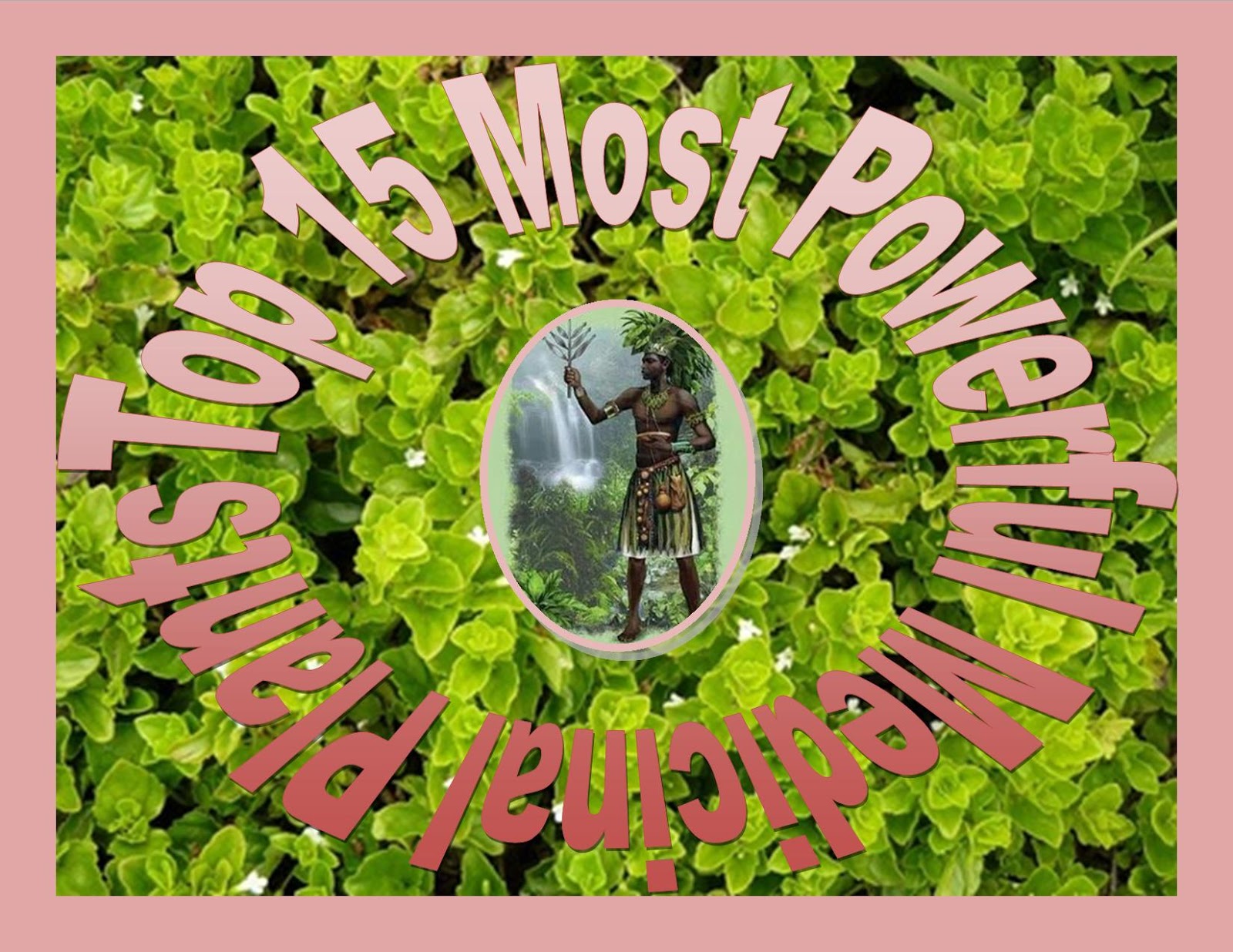 Top 15 Most Powerful Herbs