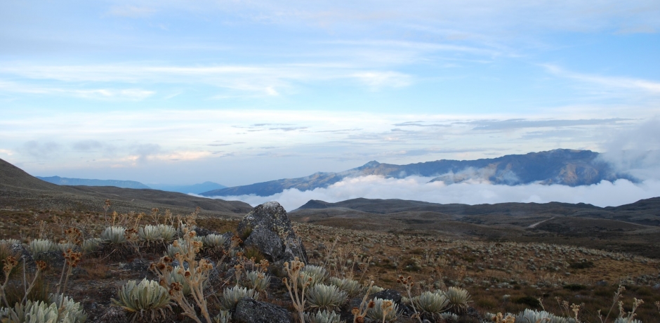 Monumento Natural Páramo de Guirigay