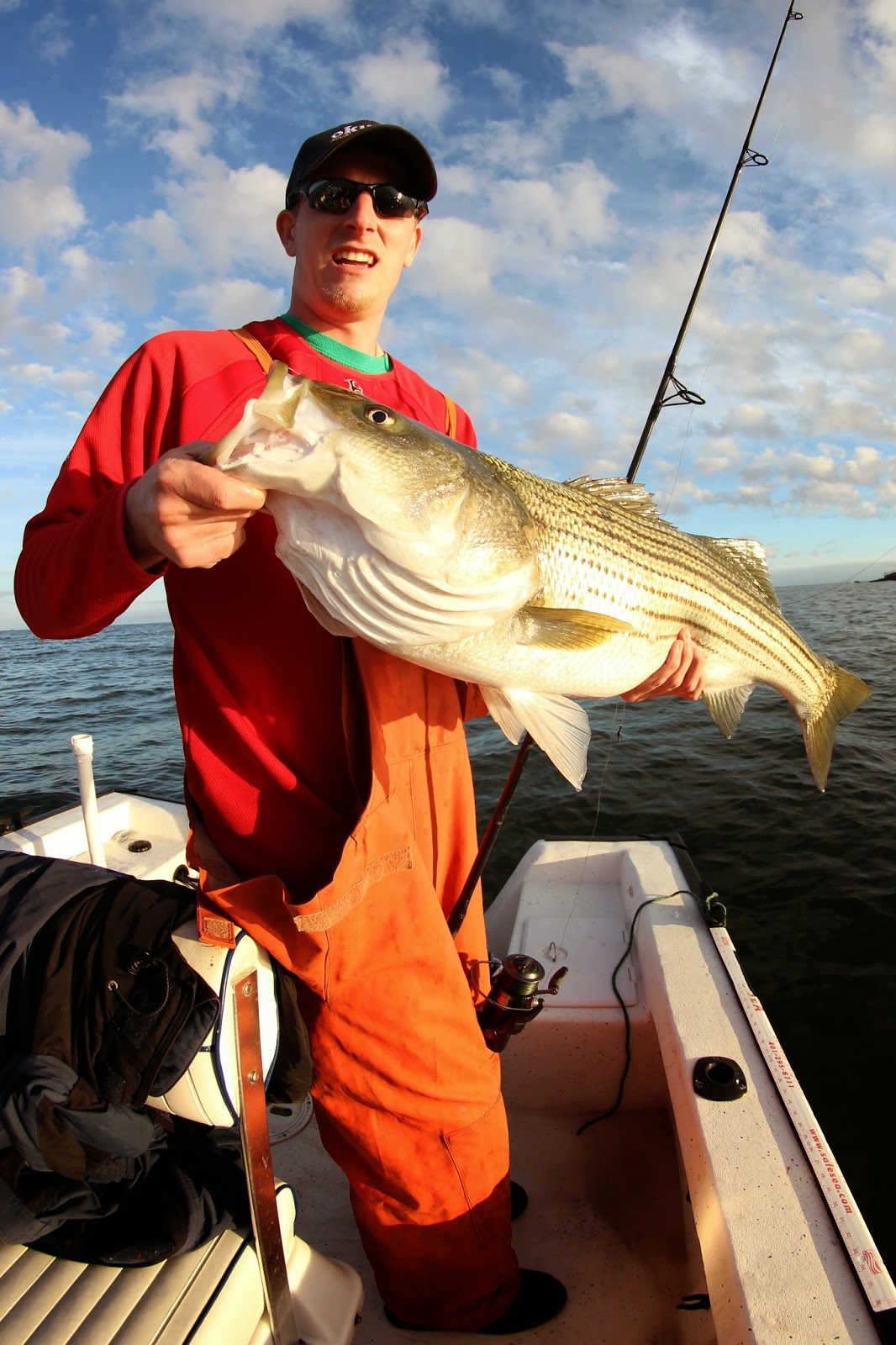 Rhode Island Striped Bass Phenomenal Striper Day from the Boat