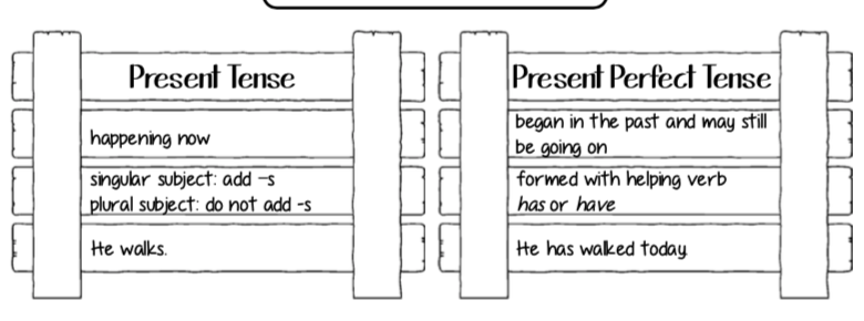 Week 21 homework picture
