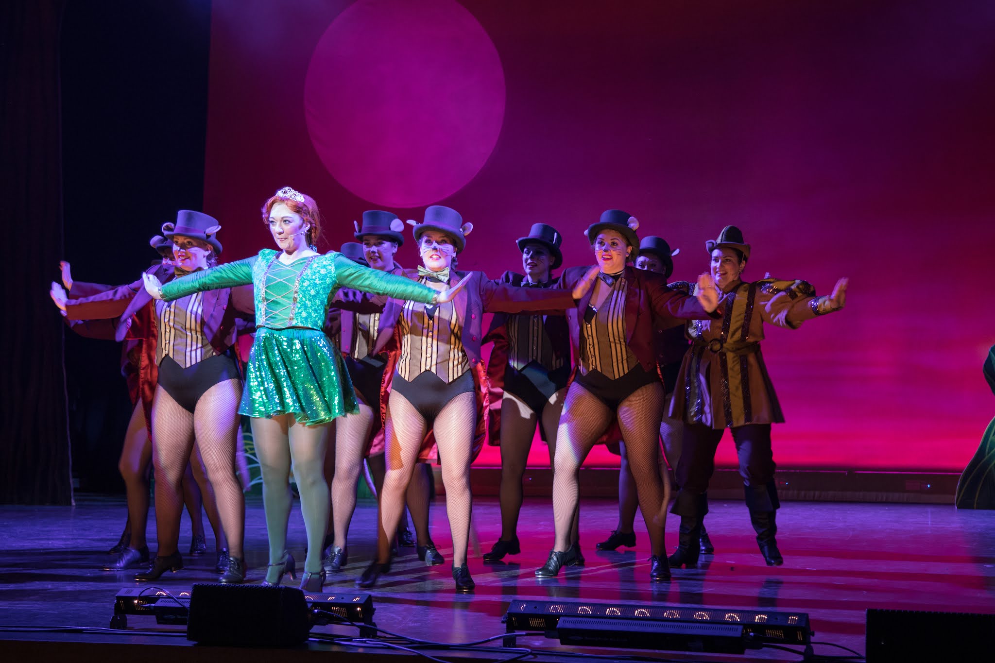 Review of Shrek (NMTC) at Royal and Derngate (Derngate), Northampton picture