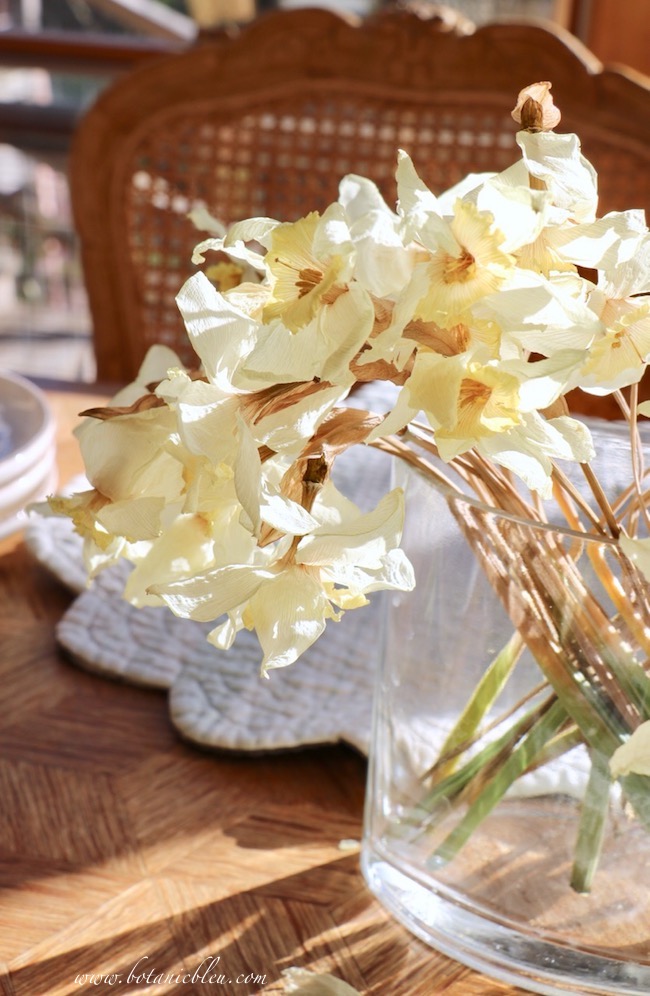 Dried narcissus spring bouquet