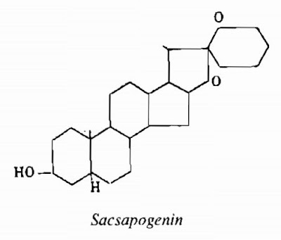 Thành phần hó học Thổ Phục Linh - Smilax glabra - Nguyên liệu làm thuốc Chữa Tê Thấp và Đau Nhức Thành phần hóa học Thổ Phục Linh - Smilax glabra - Nguyên liệu làm thuốc Chữa Tê Thấp và Đau Nhức