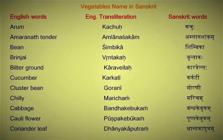 Vegetables Name In Sanskrit-1