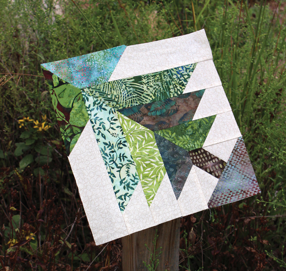 Barbara Brackman's MATERIAL CULTURE Cover Blocks New Encyclopedia of