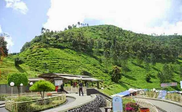 Daftar Hotel Melati Murah Di Puncak Bogor Ihdw Hotel Dan Kost
