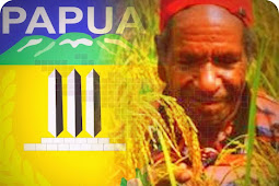 Pemprov Papua Dorong Transformasi Pertanian dari Tradisional ke Modern