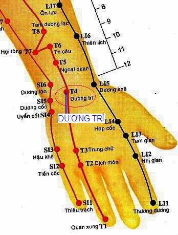 Vị trí huyệt dương trì