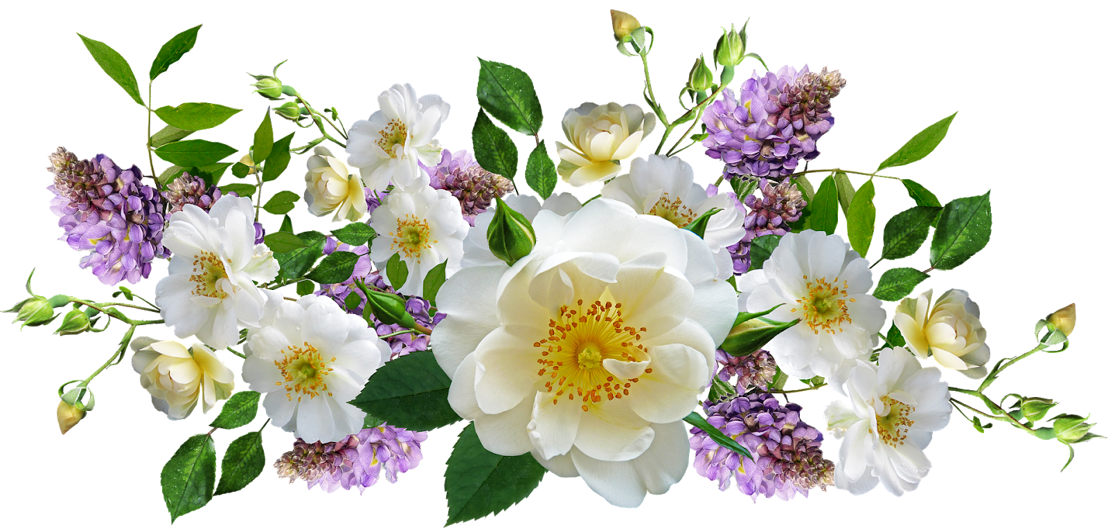 Clip Art: Flowers on a transparent background