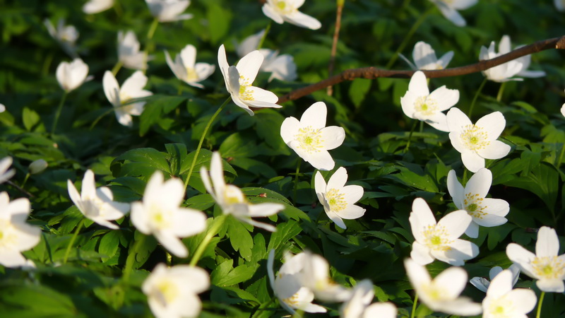 Nie Gut Genug Wenn Du Denkst Du Bist Nicht Gut Genug 5 Tipps