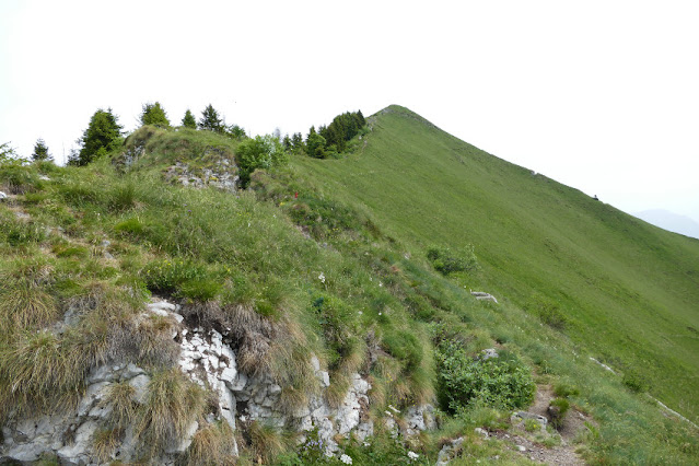 dromaè e cima d'oro