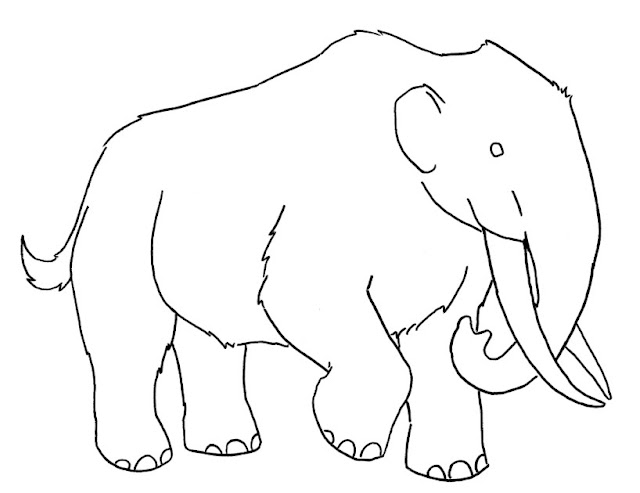 Sketsa Hewan Gambar Gajah