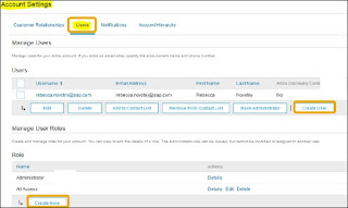 SAP Ariba - Logging and Auditing دخول والتدقيق في ساب أريبا