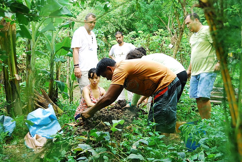 SUNSHINE CHICKEN Intro to Permaculture