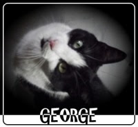 Remembering George