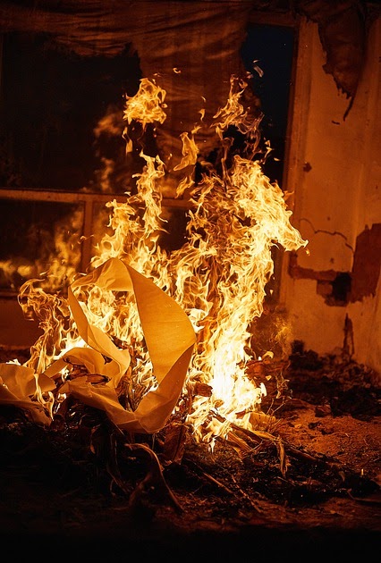 2006 Chinese Zodiac Fire Dog 2006-chinese-zodiac-fire-dog