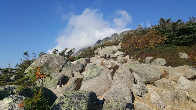 Vue à partir du sentier en direction du mont Katahdin