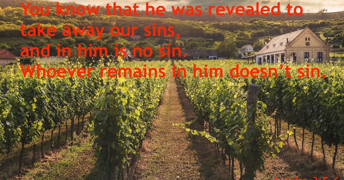 1 John 3 4 6 1 John 3 4 6