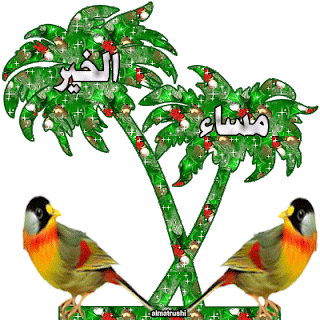 صور مساء الخير 2021 ممكن تهديها لاصدقائك,صور صباحيات 2021,صور مسائيات 2021 ,Good afternoon,صور تصبح على خير 2021,صور صباح الخير