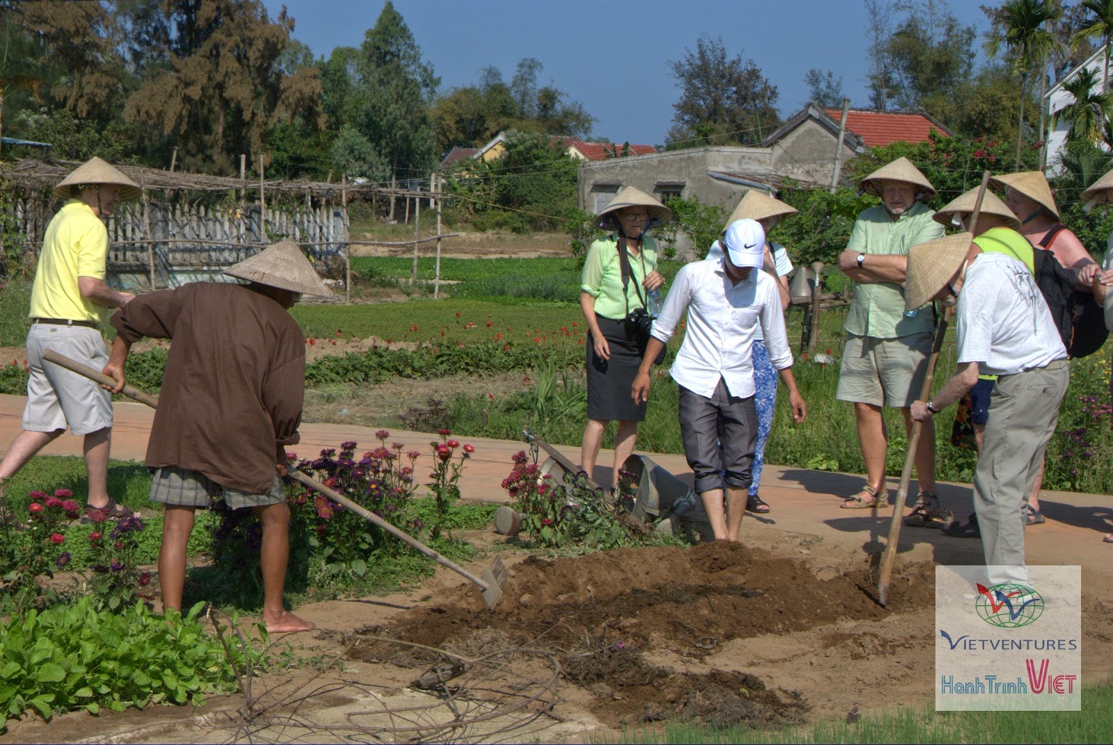 Trải nghiệm một ngày làm nông dân ở Hội An