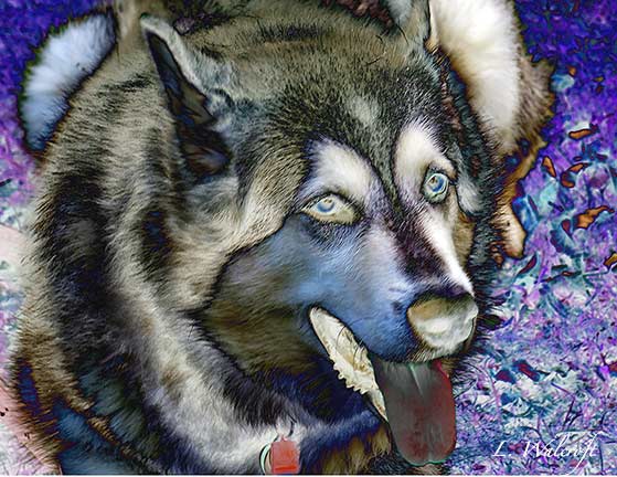 Husky Hard Edge Painting Velvia Inverted Colors Antiprism · Creative Fabrica
