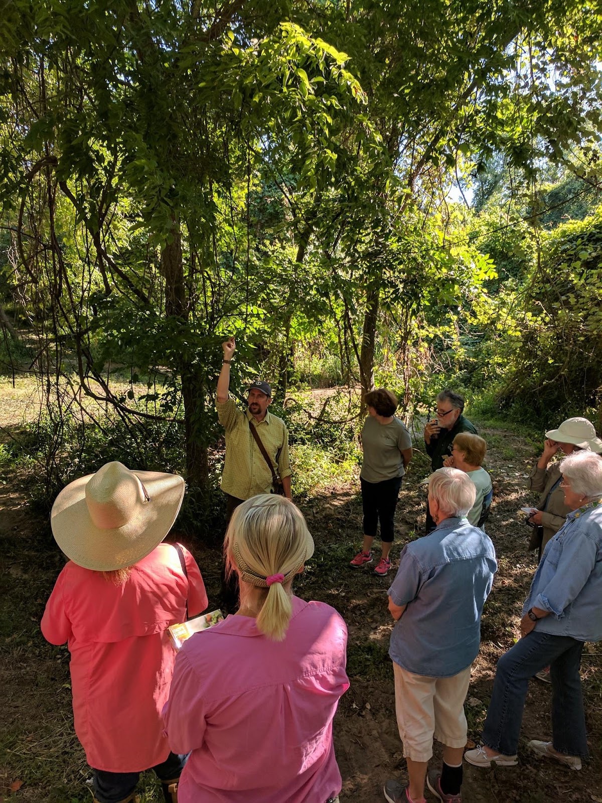 Foraging Texas Classes