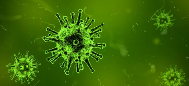 DOWNLOAD PTK BIOLOGI SMA LENGKAP PTK PAUD PTK SD PTK SMP