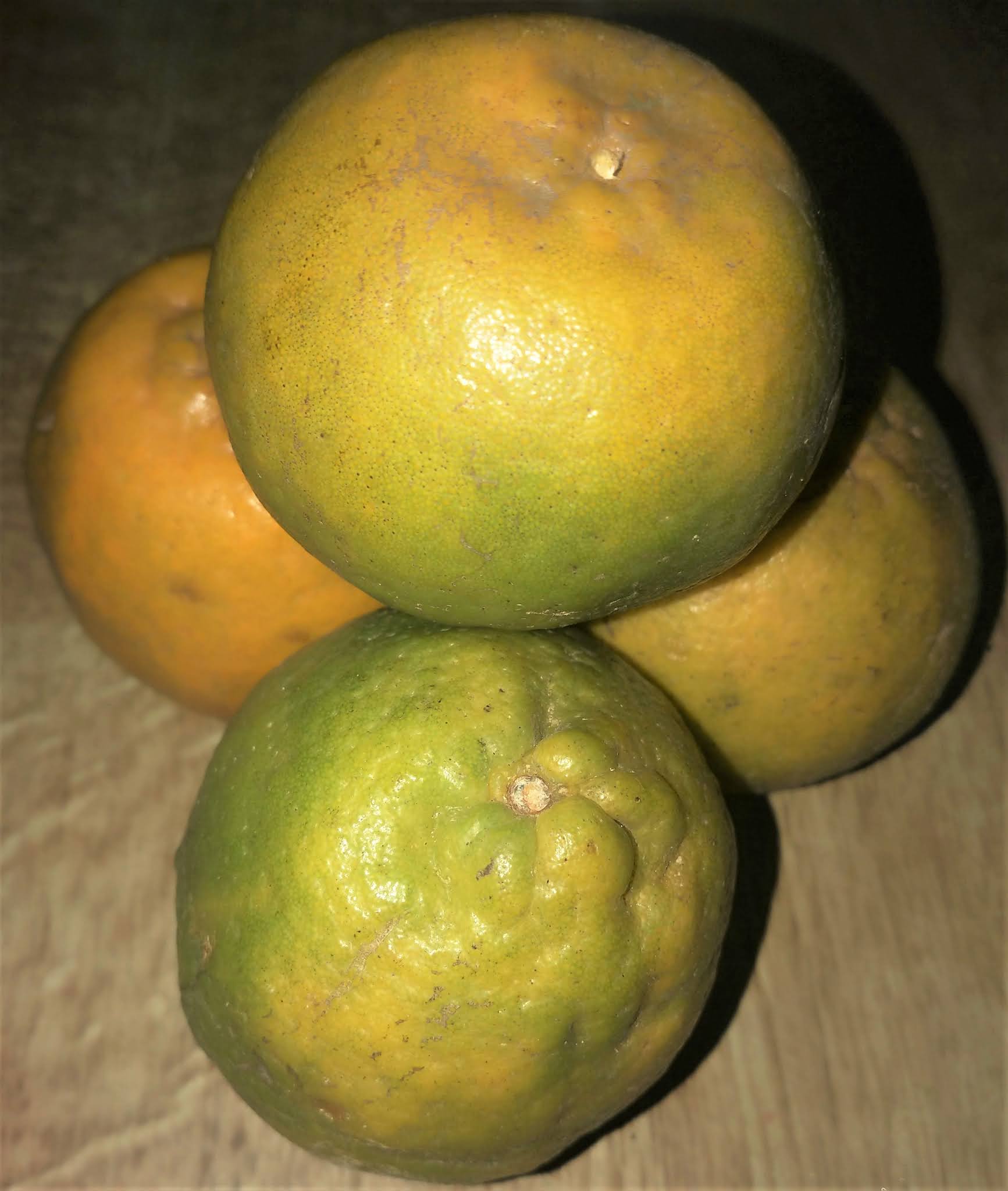 know about kannada and Karnataka Fruit Names in kannadaEnglish