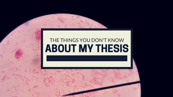 The things you don't know about my thesis