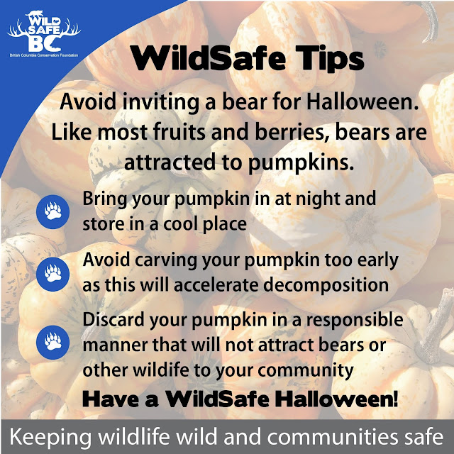 Lac Le Jeune Life In Our Community 2019