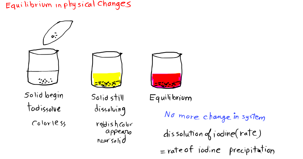Chapter 1: Chemical Equilibrium Part 3 SABIS Grade 11 (Level M ...