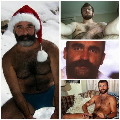 Que peço pro meu Papai Noel barbudo e peludo?