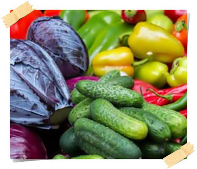 pareri dieta rina cartea scanata pdf contraindicatii tabel pe zile pareri dieta rina cartea scanata pdf contraindicatii tabel pe zile