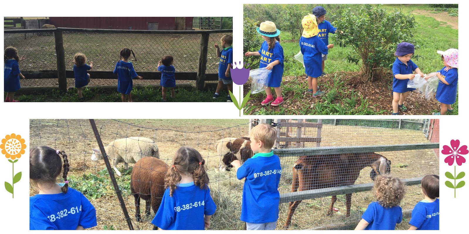 SMART START Ingaldsby Farm Field Trip