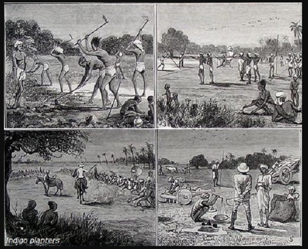 Interpreting Peasantry of Early Medieval Northern India Pen2Print