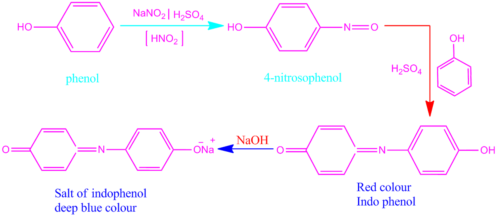 Phenol definitionPhenol structure and Identification in chemistry PG