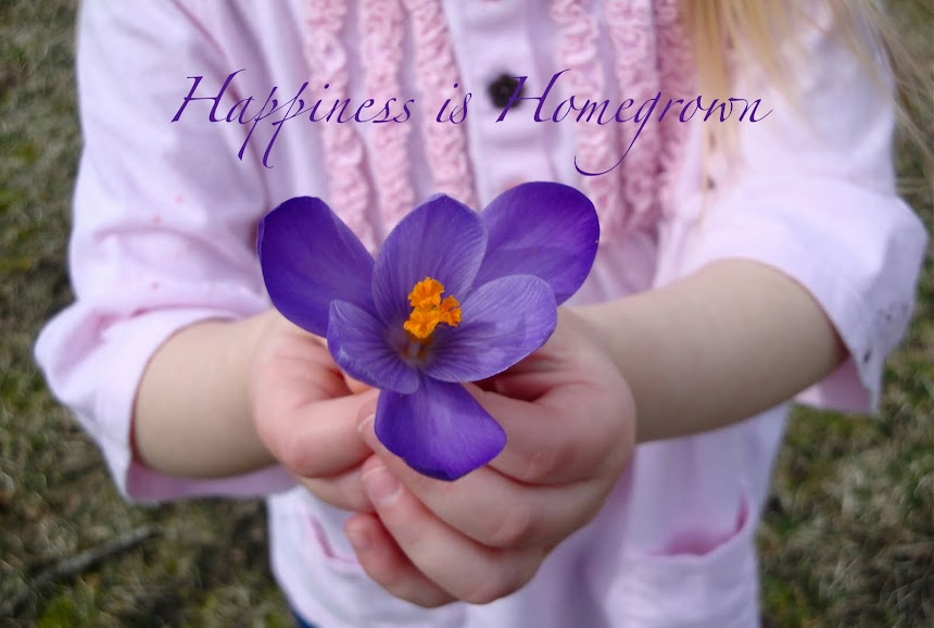 Happiness is Homegrown: Fancy Nancy Christmas Ornament