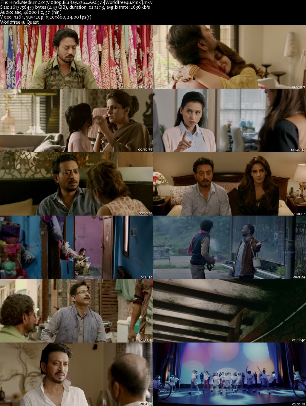 Hindi Medium 2017 Hindi BRRip 1080p ESub