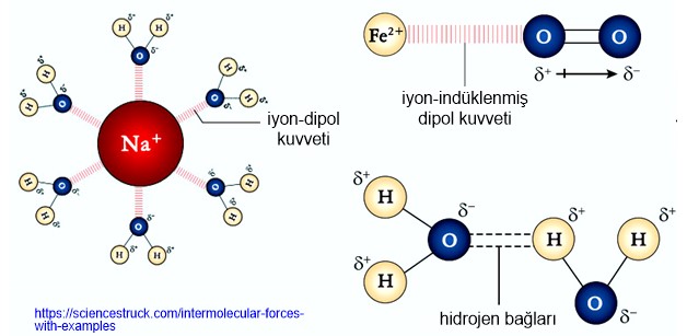 Prof. Dr. Bilsen Beşergil: Dipol-Dipol Etkileşim (dipole-dipole  interactions)