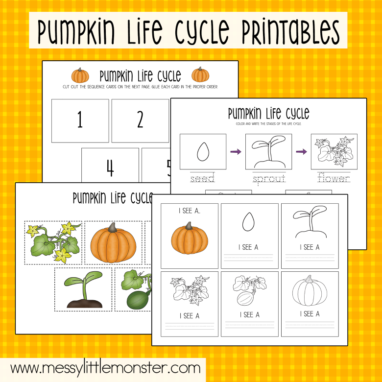 Printable Pumpkin Life Cycle Worksheets Messy Little Monster